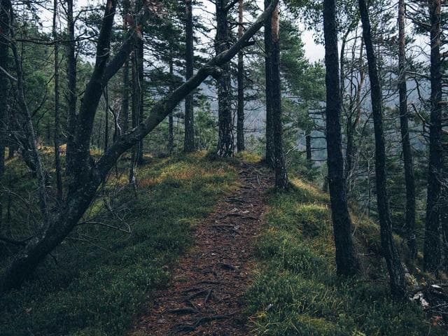 Image of Licensed Soft Shirt