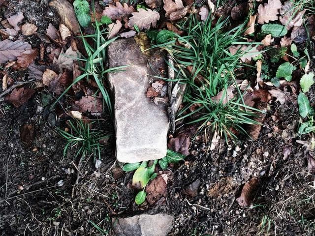 Image of Elegant Concrete Pizza