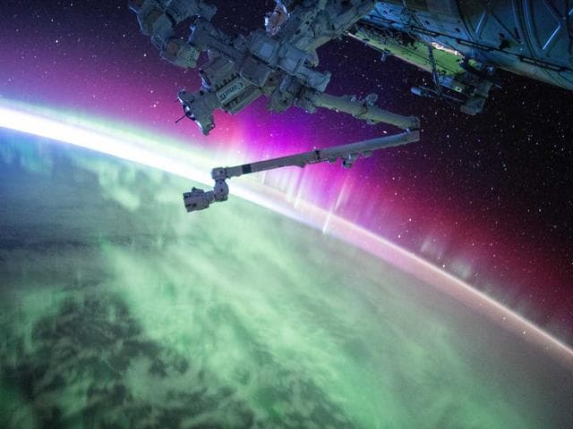 Image of Handcrafted Concrete Bacon