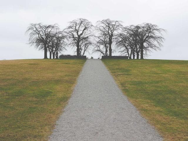 Image of Small Soft Shirt